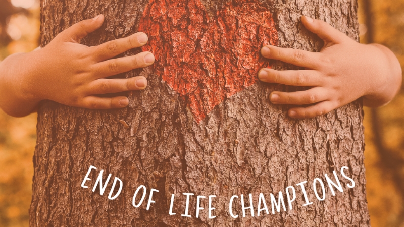 What is an End of Life Champion, How Can You Become One – and How Can They Improve Outcomes for Patients?