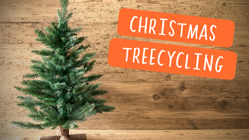 Treecycling Info Box