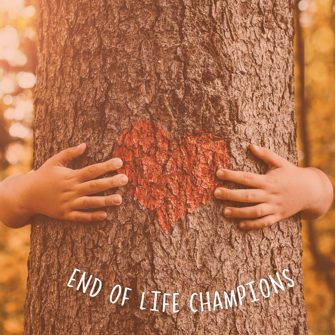 END OF LIFE CHAMPIONS (1080 X 1350 Px) (1)