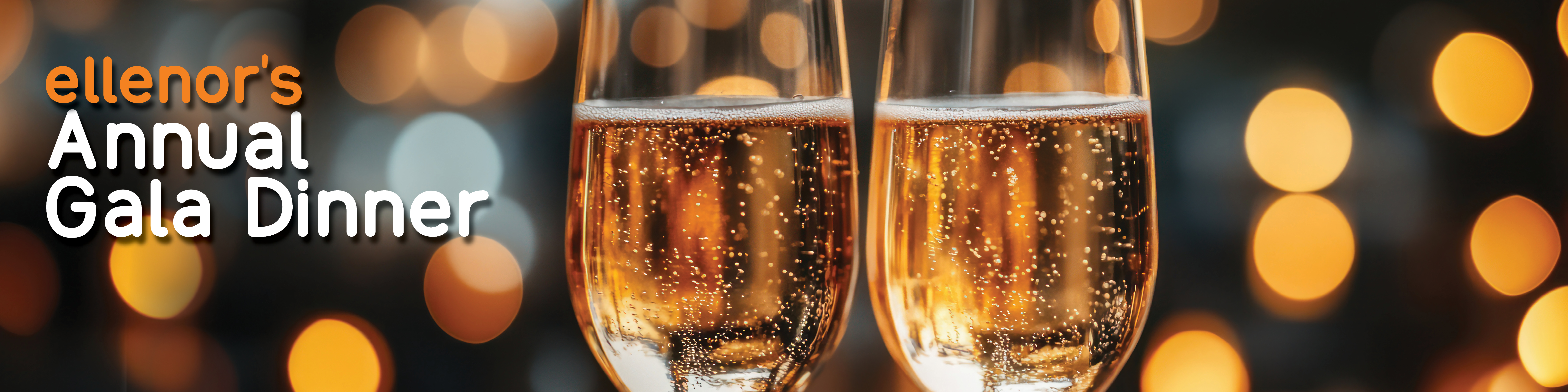 ANNUAL GALA DINNER WEBSITE BANNER