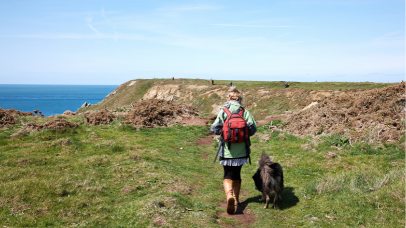 Info Box Coastal Walk 2025