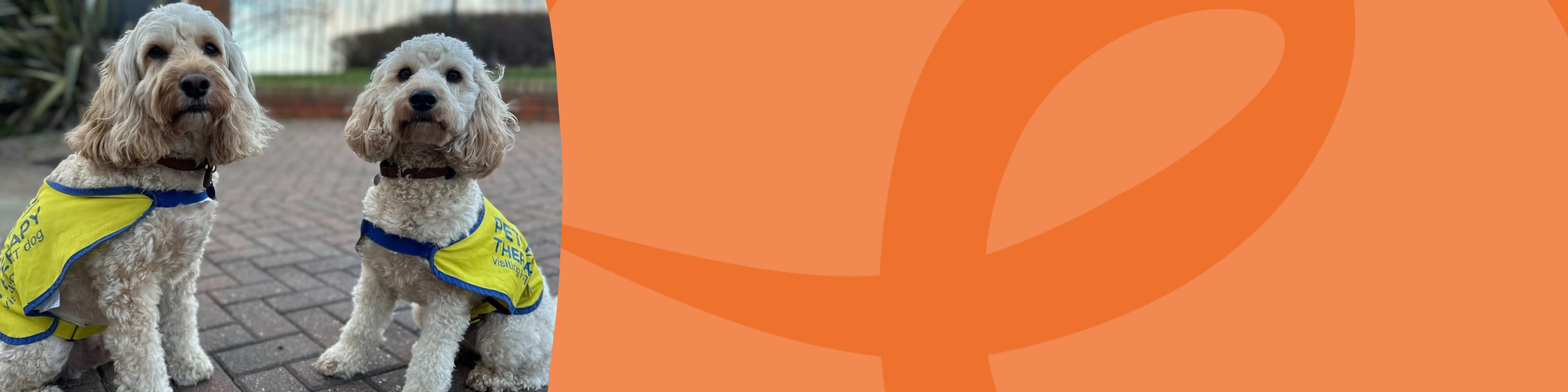 Therapy Dog Banner