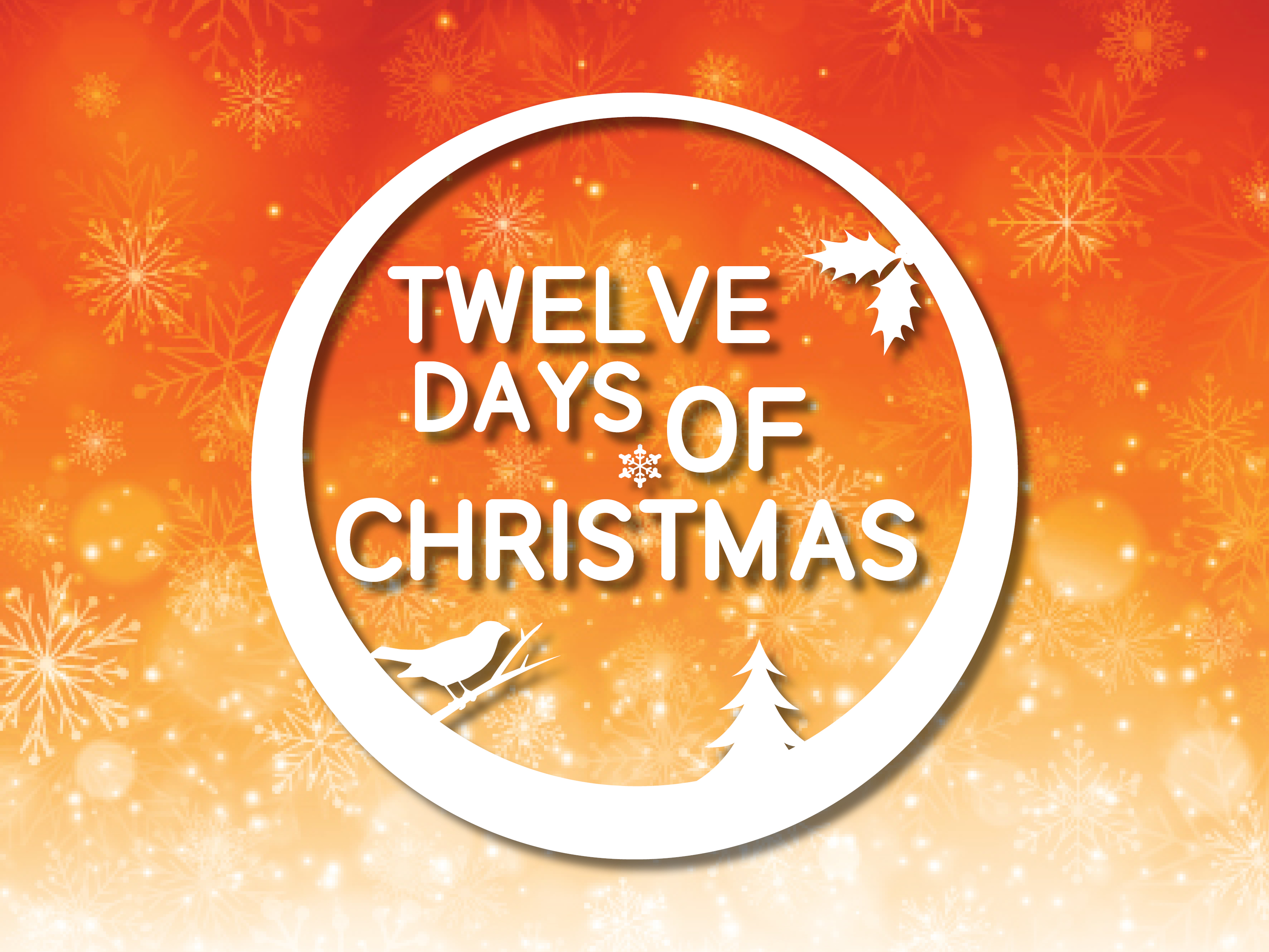12 DAYS OF CHRISTMAS INFO 2